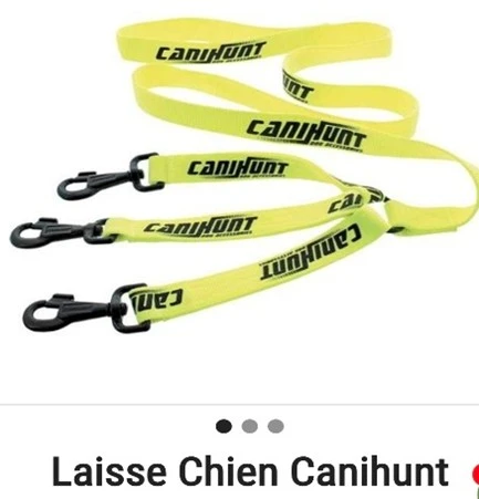 Laisse hunter tripleur