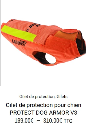 Gilet protection