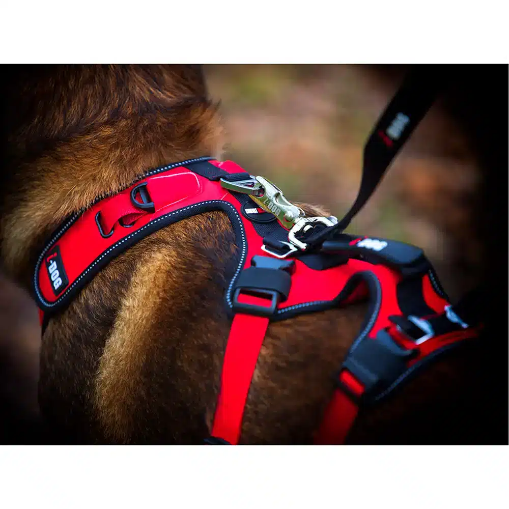 Harnais chien CONFORT TREK canitrail, randonnée et loisirs outdoor, rouge
