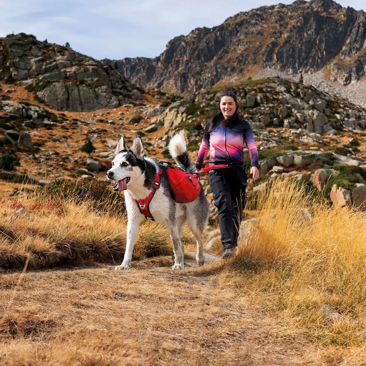 Harnais chien CONFORT TREK canitrail, randonnée et loisirs outdoor, rouge