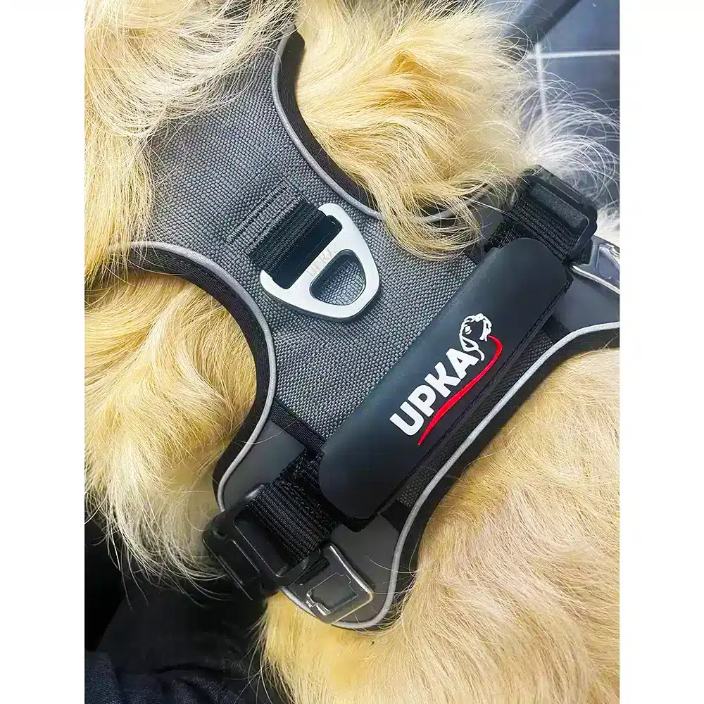 Harnais chien STYE UPKA cani-marche, anti-traction, balade, gris