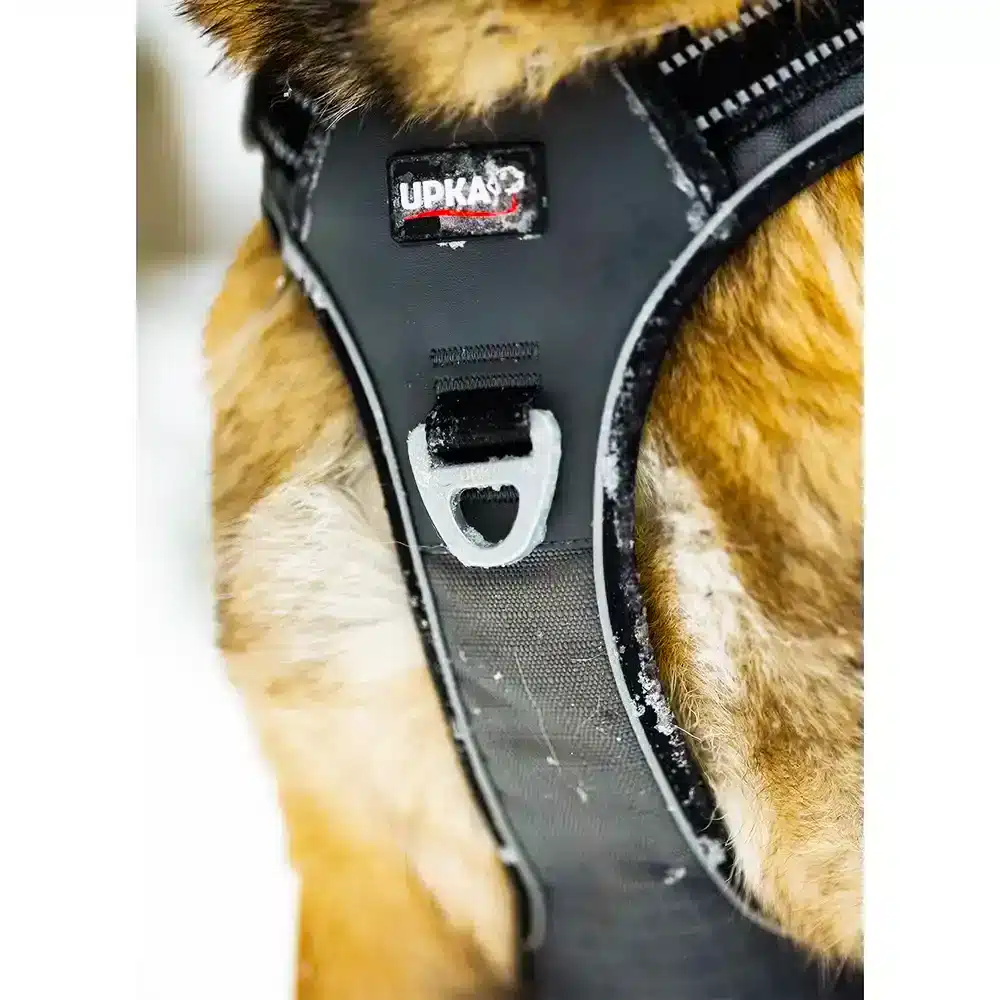 Harnais chien STYE UPKA cani-marche, anti-traction, balade, gris
