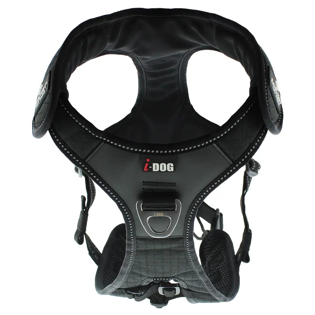 Harnais chien RAIDLIGHT sports, et loisirs outdoor avec son chien, noir